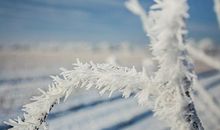 2019年大雪12月7日什么生肖的人不宜结婚相冲吗？（图文）