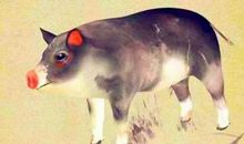 2020年1月30日生肖运势前三，月底一鸣惊人，飞黄腾达终成人生赢家！