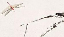 2010年生的10岁生肖虎人2020年运势好吗，学业顺利，健康不乐观