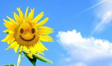 16顺、17财，只走上等运，钞票蹭蹭涨，翻身做大富翁的三属相