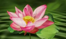 3月喜讯不断的四生肖，财库丰盈，衣食无忧，过上好日子