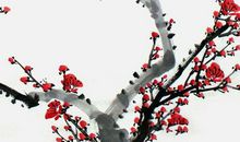 2020年5月11日出生的男孩取名方法介绍，鼠宝宝取名宜用字