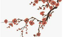 2020鼠年农历十月三十出生的女孩起什么名字好，五行属什么