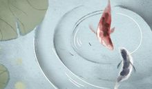 2020年闰四月风水有什么不同 二零二零年闰四月有什么禁忌