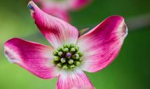 1月29号后，贵人鼎力支持，风生水起，吉星高照的4生肖