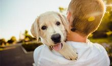 1970年属狗人50岁运势，婚姻幸福财运佳