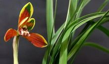 一夜之间“穷转富”，3生肖前有贵人、后有靠山，11月彩票中奖，12月喜气洋洋