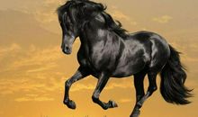 春节初6开始，翻身转大运，来喜又来财，日子顺心如意的四生肖