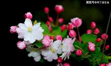 恭喜四生肖爆发赚钱潜力，11月14号开始财运一路高涨，福旺全家富贵难逃！