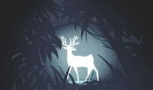 有苦情痣真的很难会感情路坎坷吗