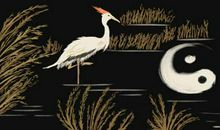 冰箱上不能放什么东西 风水禁忌