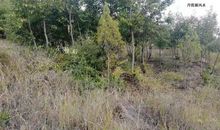 原创 丹霞源风水：覆坟断