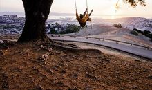 划重点，最擅长扮猪吃老虎的生肖