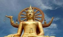 下半月，财运上涨，运势高升的5个生肖，喜事一桩接一桩