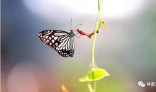 荐读丨你的嘴，就是你的风水