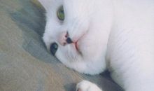 12星座哪些会是最易患上饿怒症