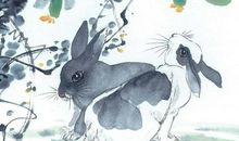 这三个生肖的女人最爱撒娇，天生好命，旺夫一辈子