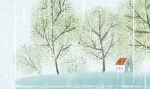 生肖属虎的男人2020年财运，明显回升且收入水涨船高