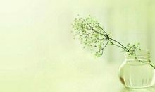 哪年出生猪猴蛇鸡人，天生命带吉祥，中晚年富足安康，福禄寿全！