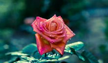 2月不好惹的3生肖，财神降临，横财大发喜事连连，必定财运亨通