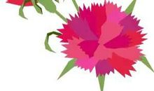 没人治得了天蝎座这个怪癖！