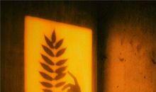 盘点兼具好看皮囊和有趣灵魂的血型，酸了