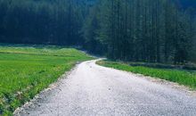 属兔女和属猴男的婚姻好吗 会不会长久(图文)