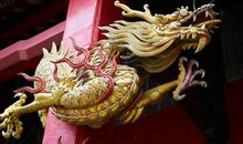 最新生肖龙的运势