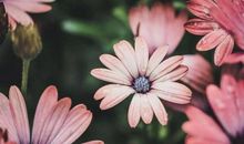 五月初喜从天降，3星座遇良缘，与前任再度复合