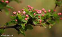 2月上旬正财爆发，偏财星旺的5个生肖，事业飞黄腾达