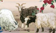 这三个生肖未来七天，财运大红大紫，收入翻倍，再穷都能富