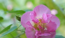 11月中旬哈哈笑，转大运、发大财，3生肖鸿运缠身，苦尽甘来，吃喝玩乐不用愁