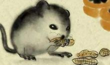 属鼠人本命年运气差怎么办,2020年怎么提升运气？