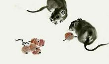 属鼠本命年需要注意什么，在2020年戴什么转运