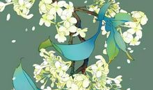 2020鼠年3月生肖属兔人的运势解析，运势低迷小人扰局