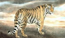 再过一个月开始，财运变好的生肖，有你吗？