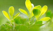 上升星座天蝎座的人，天生感情丰富，神秘而敏感