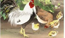 这三个生肖的人再过三十天开始不再受苦，翻身做财主