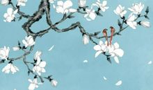 1980年子时出生的生肖属猴人命好吗，属果树之猴，晚年运势好