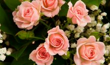 秦阳明2020年生肖属兔每月运势，六月感情遇挫，八月财富高涨