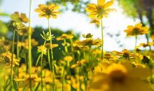 4月1号开始，喜事成双来，桃花找上门，3生肖运势上上签，大富大贵躲不掉