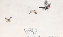 2020年4月出生的男孩如何取名字