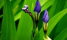 下周开始凡事能有贵人助，财运旺盛，福气满满，大赚钱财的四属相