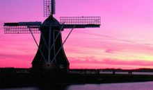 巳时出生的人2020鼠年能不能结婚嫁娶，婚恋前景明朗