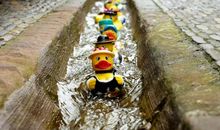 TIM大叔 1月27日至2月3日本周星座运势提醒