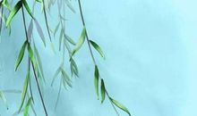 生肖属龙的女人在2020年感情运，今年将会拥有一段甜蜜的感情