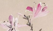 2020年9月12号出生的男孩五行八字，起名宜用字