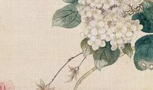 2020年农历四月十三出生的男孩怎么起名字，五行属什么