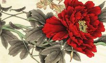 属马人和属牛人是天生一对吗 恋爱会长久吗(图文)