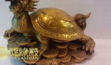 风水物品龙龟摆放禁忌